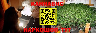 сатива Владимир