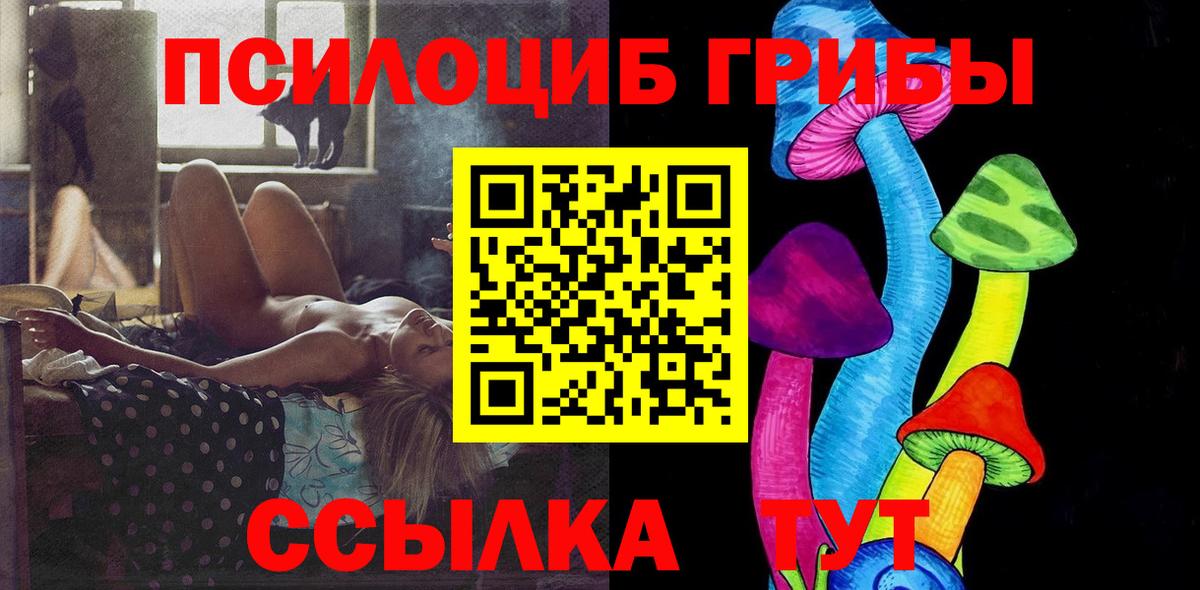Псилоцибиновые грибы мицелий Зерноград